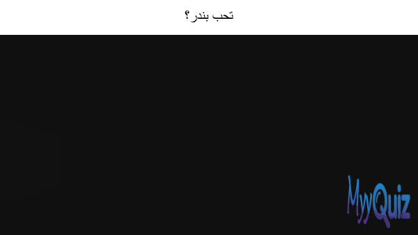 تحب بندر؟