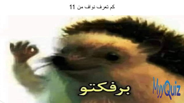 كم تعرف نواف من 11