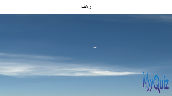 رهف