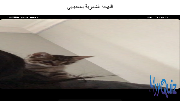 اللهجه الشمرية يابعديـيي